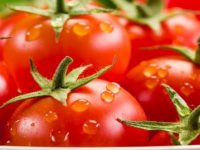 8 incríveis benefícios do tomate para a saúde