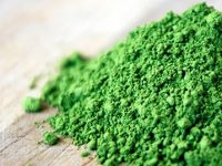 Chá verde em pó: conheça os grandes benefícios do Matcha