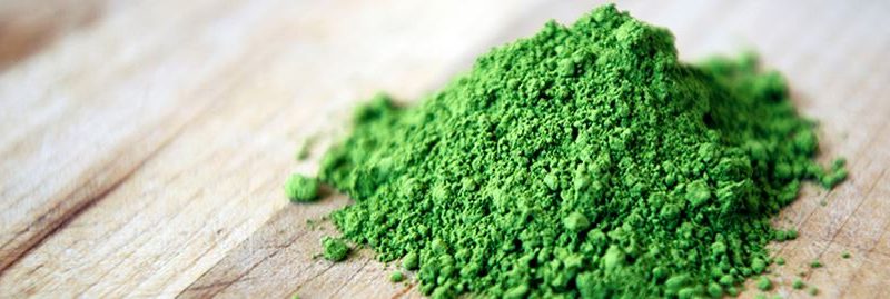 Chá verde em pó: conheça os grandes benefícios do Matcha