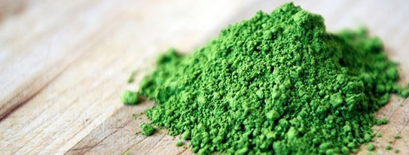 Chá verde em pó: conheça os grandes benefícios do Matcha