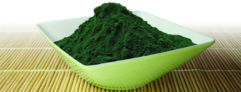 Os benefícios da Spirulina para a saúde