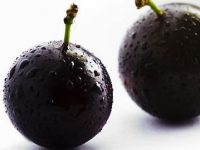 Propriedades e benefícios da jabuticaba para a saúde
