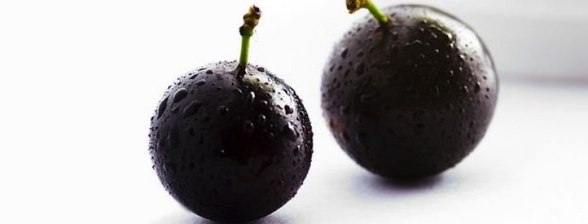 Propriedades e benefícios da jabuticaba para a saúde