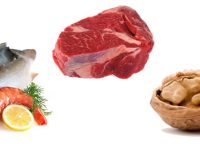 Benefícios da taurina, funções e alimentos que a contém