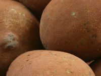 Benefícios do cupuaçu e suas propriedades nutricionais