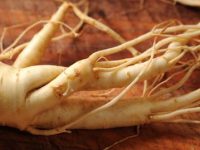 Propriedades, benefícios e contra-indicações do ginseng