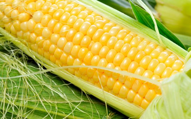 10 alimentos saudáveis que retardam o envelhecimento