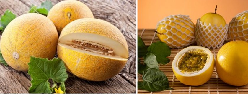 Melão e maracujá: frutas com muitos benefícios para a saúde