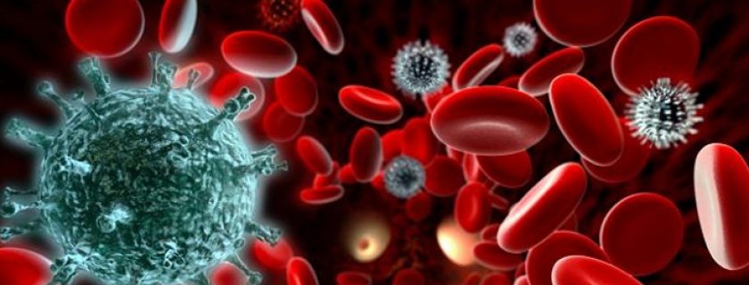 As 6 melhores plantas medicinais que aumentam a imunidade
