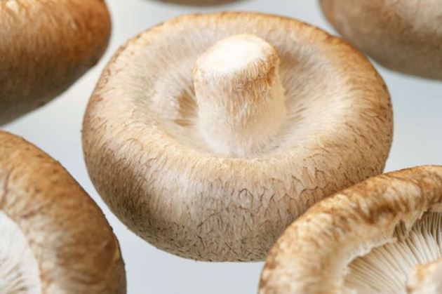 Vegetais brancos razões pelas quais devemos consumir-2