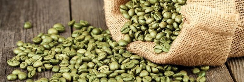 Benefícios e recomendações do consumo de café verde