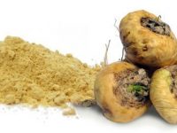 Maca peruana: benefícios, propriedades e contra-indicações