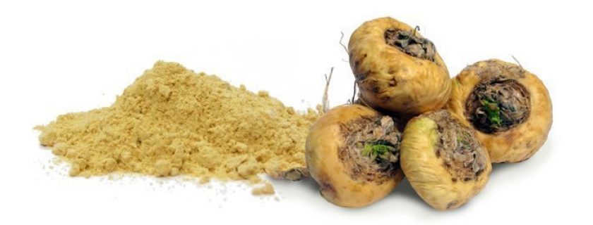 Maca peruana: benefícios, propriedades e contra-indicações