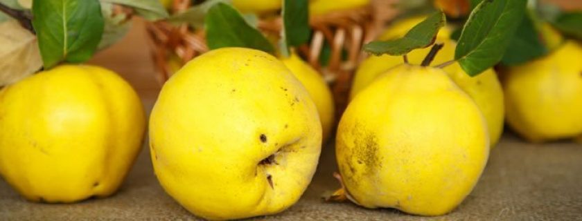 6 incríveis benefícios do marmelo para a saúde
