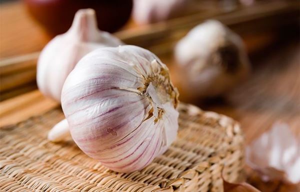 Os melhores e mais acessíveis antibióticos naturais-6