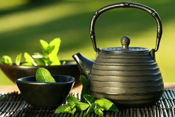 Os melhores e mais acessíveis antibióticos naturais-7