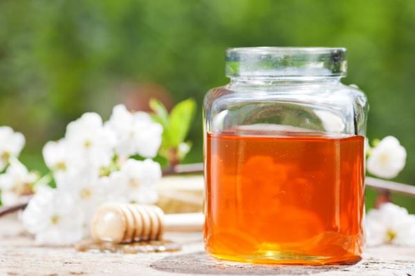 Os melhores e mais acessíveis antibióticos naturais-8