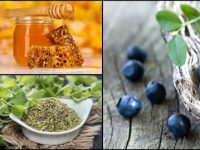 Os melhores e mais acessíveis antibióticos naturais