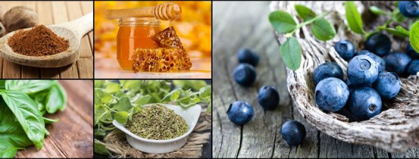 Os melhores e mais acessíveis antibióticos naturais