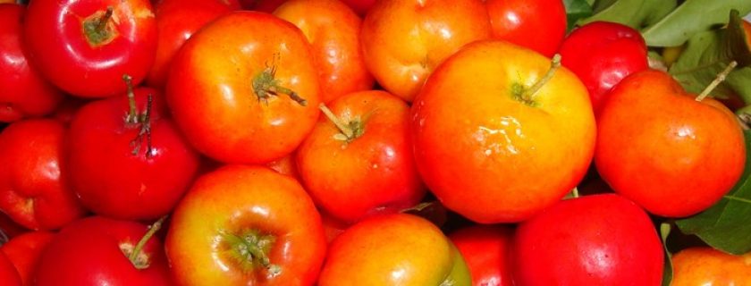 6 incríveis benefícios e propriedades da acerola para a saúde