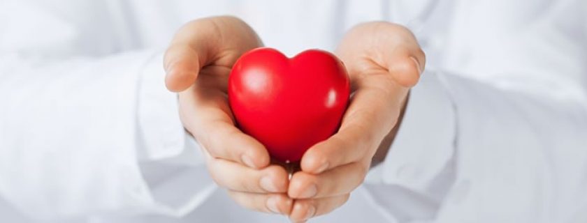 Ervas, especiarias e dicas para ter um coração mais forte