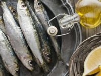 12 benefícios da anchova para a nossa saúde