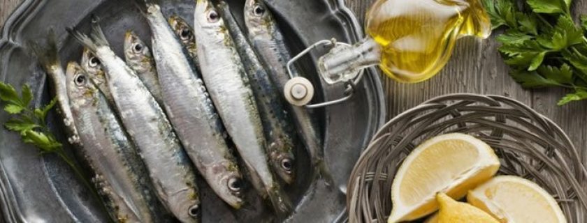 11 benefícios da anchova para a nossa saúde
