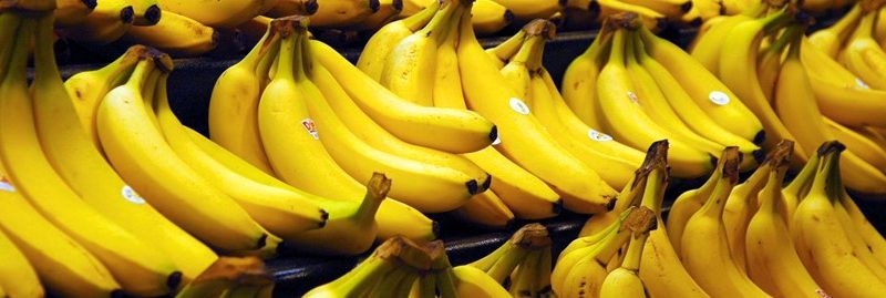 Banana: um ótimo alimento para manter o cérebro ativo