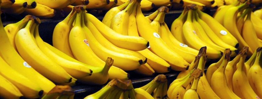 Banana: um ótimo alimento para manter o cérebro ativo