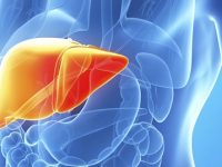 Como a carne vermelha afeta o fígado?