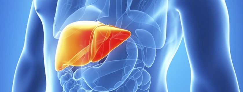 Como a carne vermelha afeta o fígado?