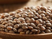 11 benefícios da lentilha para a saúde