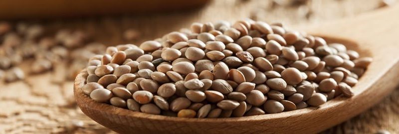 11 benefícios da lentilha para a saúde