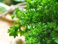 15 benefícios da salsa para a nossa saúde