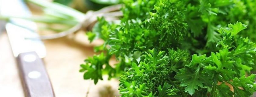 15 benefícios da salsa para a nossa saúde