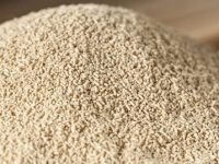 Benefícios da levedura de cerveja para a saúde