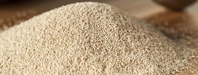 Benefícios da levedura de cerveja para a saúde