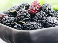 10 benefícios importantes das amoras para a saúde