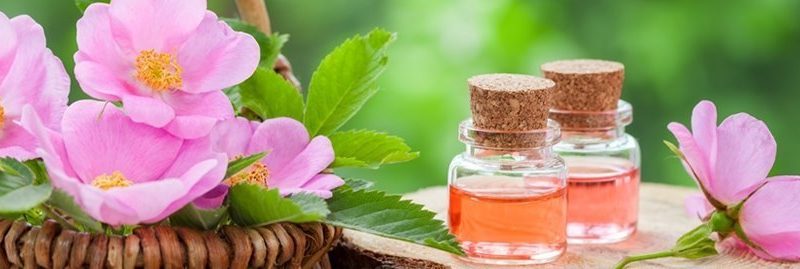 Propriedades e benefícios do óleo de rosa mosqueta