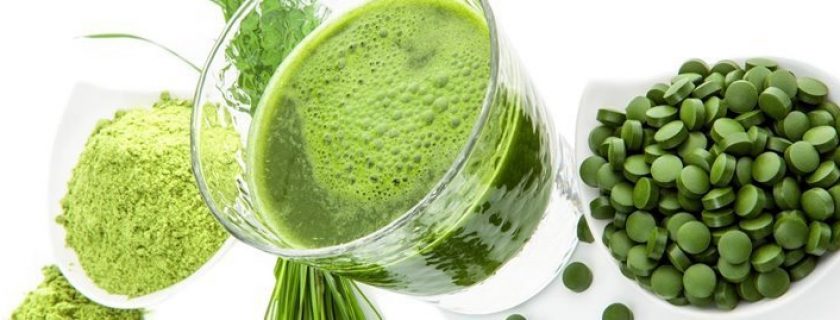 Contra indicações e benefícios da Chlorella para a saúde