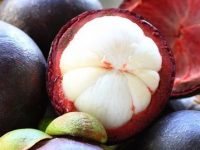 Conheça as propriedades e benefícios do mangostão