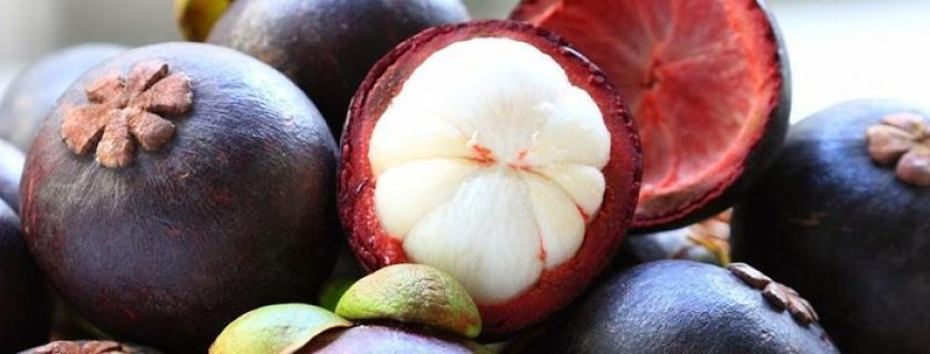 Conheça as propriedades e benefícios do mangostão