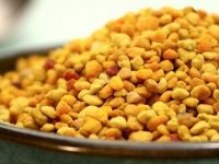 Propriedades e benefícios do pólen de abelha