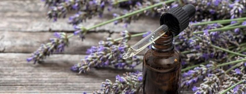 8 incríveis benefícios do óleo essencial de lavanda para a saúde