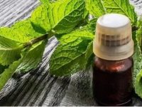 10 usos e benefícios do óleo essencial de hortelã pimenta