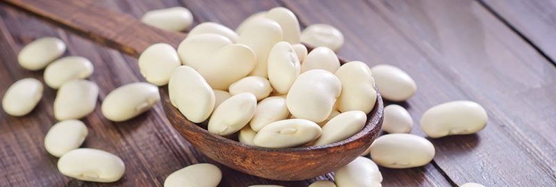 8 incríveis benefícios do feijão branco para a saúde
