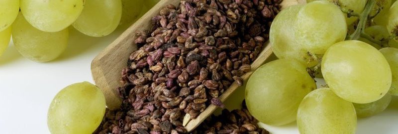 Os incríveis benefícios da semente de uva para combater o câncer