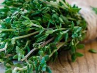 Surpreenda-se com estes 5 benefícios do tomilho para a saúde