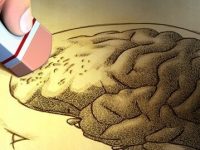 10 alimentos que ajudam a combater a doença de Alzheimer e demência