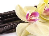 10 extraordinários benefícios da baunilha para a saúde